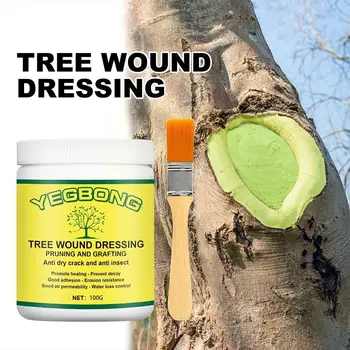גיזום אוטם על עץ בגינה עץ השתלת להדביק עץ הפצע חבישה גיזום אוטם עם מברשת בונסאי ריפוי הפצע הסוכן T3L8