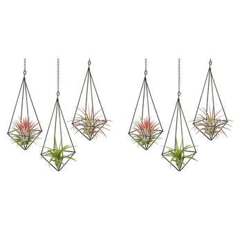 6 Pack תלוי אוויר צמח בעל גיאומטריות עציץ אוויר צמח מתלה Tillandsia קולב עם שרשרת על עיצוב הבית
